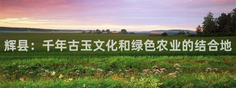 重生娱乐美日混血摩根