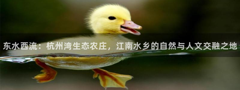 摩根国际娱乐宝官网