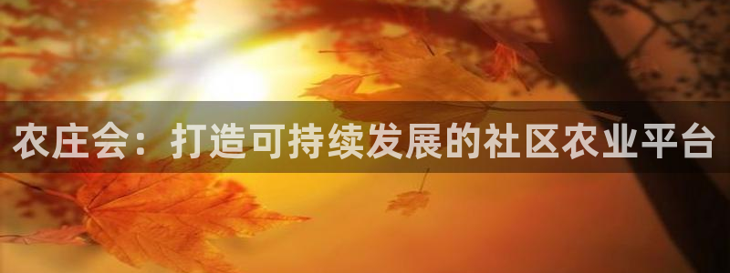 摩根娱乐宝怎么样