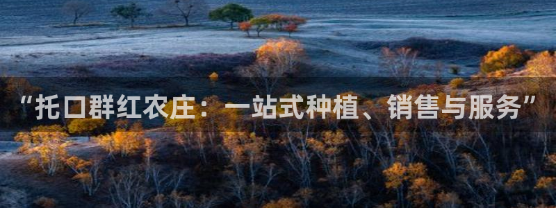 摩根娱乐包是什么