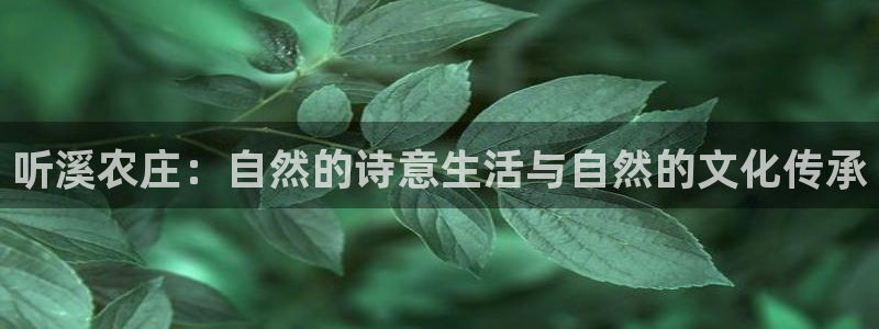 摩根娱乐宝进不去