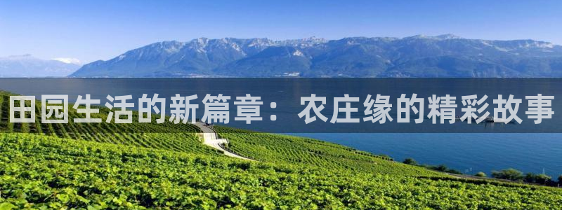 南阳市摩根娱乐