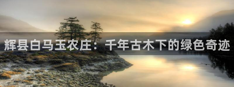 义乌摩根娱乐阿峰