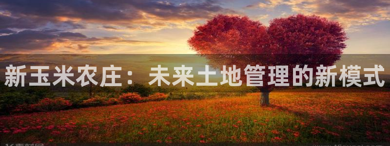 猫眼娱乐摩根士丹利