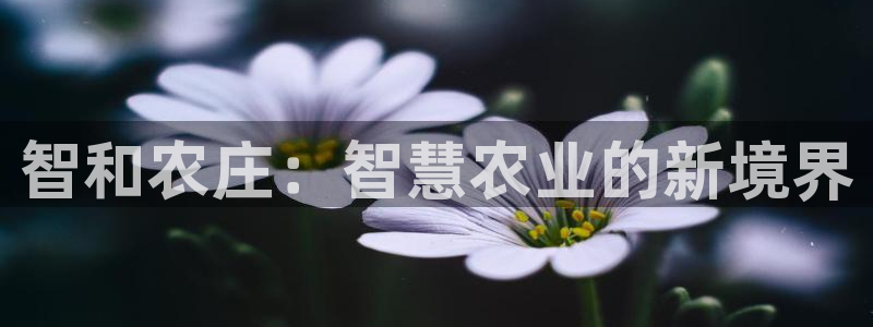 摩根娱乐二三事