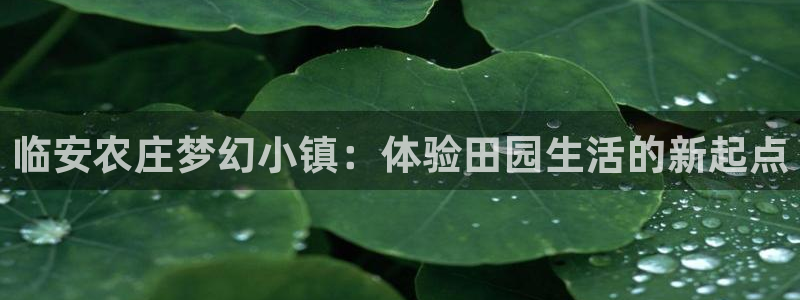 摩根娱乐宝账户