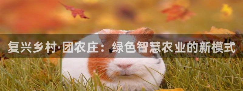 柬埔寨西港摩根娱乐