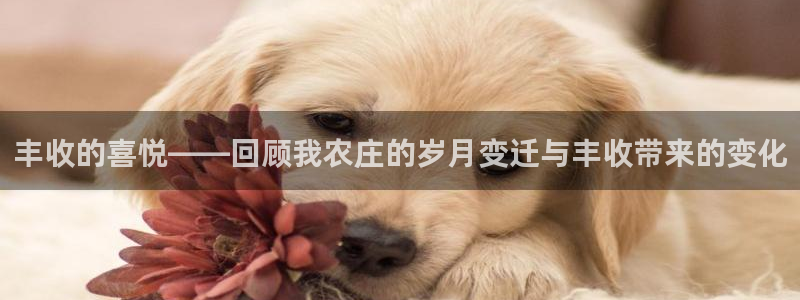 摩根娱乐挂机项目是什么