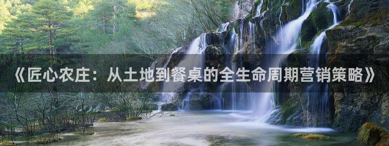 摩根娱乐开户 总s管50015