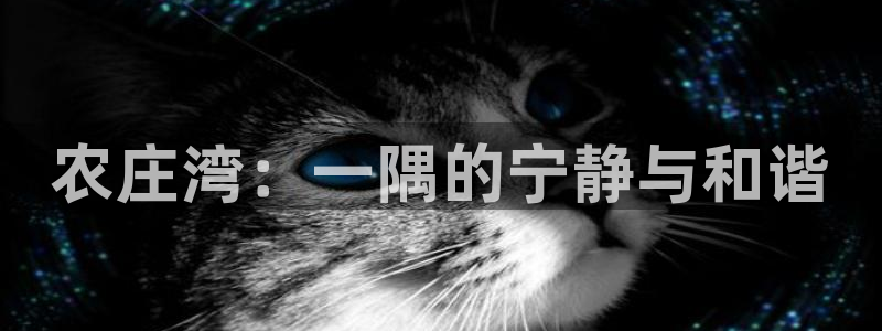 杭州市摩根国际娱乐会所