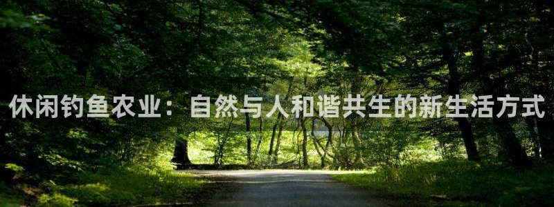 摩根娱乐挂机项目