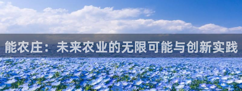 摩根合约娱乐宝