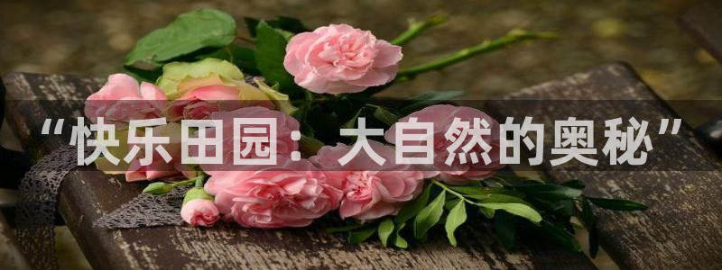 摩根娱乐↑总s管50015