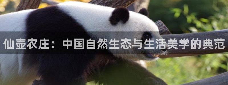 摩根娱乐宝可靠吗