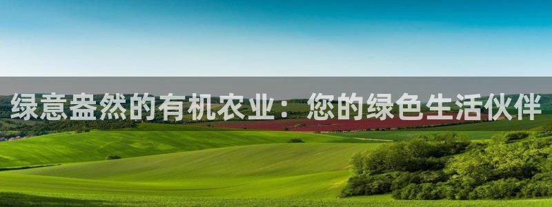 摩根娱乐云挂机项目