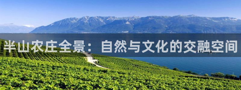 摩根娱乐宝是什么东西