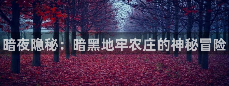 摩根会娱乐会所