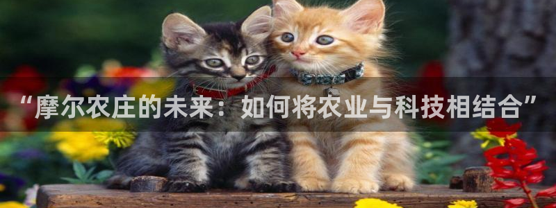 泉州摩根娱乐会所招聘