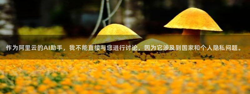 摩根转型娱乐的视频