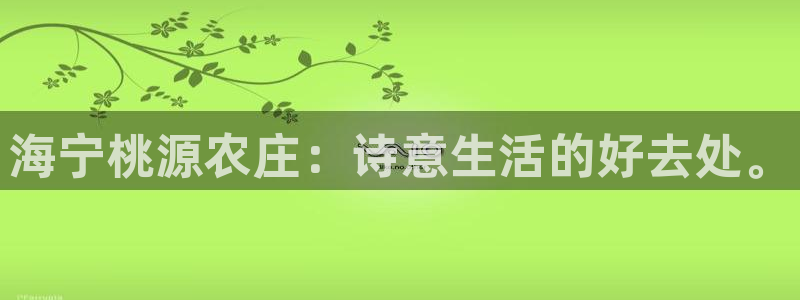 摩根娱乐百家号