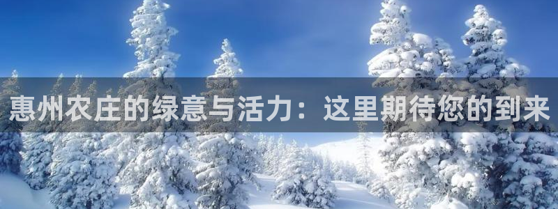 摩根国际娱乐宝下载