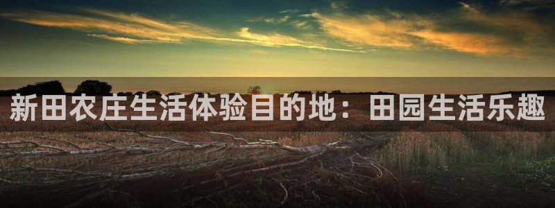 重生娱乐美日混血摩根