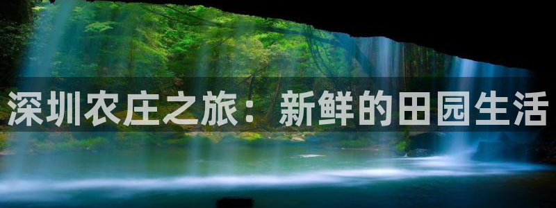 摩根兄弟进军娱乐圈