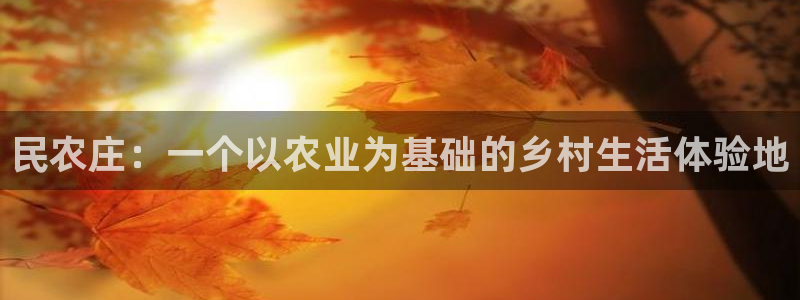 摩根娱乐宝k线图