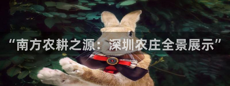 摩根娱乐团