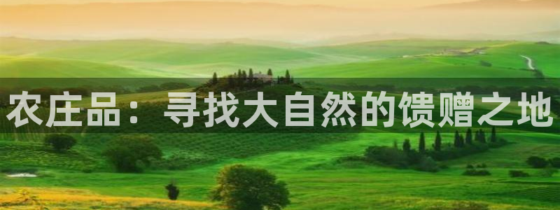 摩根娱乐宝打不开