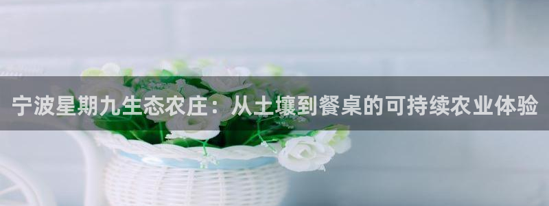 摩根娱乐宝可靠不