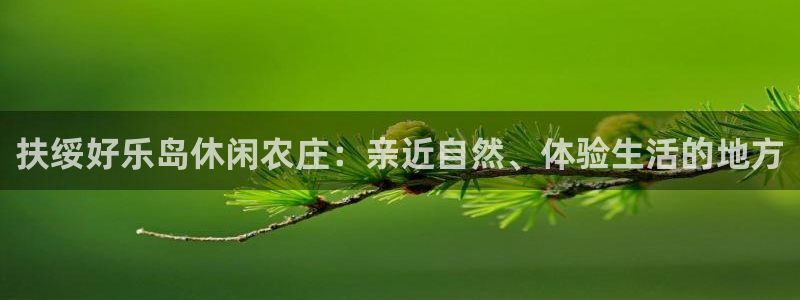 上投摩根娱乐