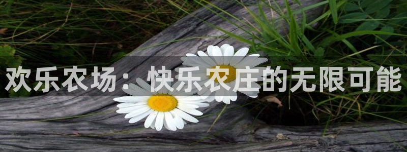 摩根娱乐宝在哪里登录