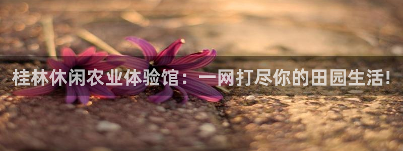 摩根娱乐50186联系