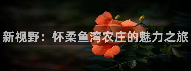 泉州摩根娱乐会所电话号码