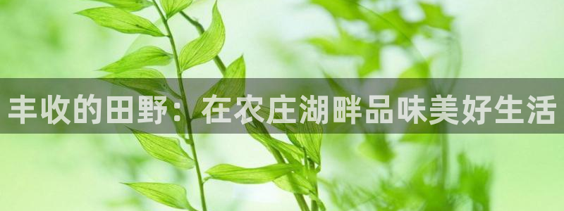 摩根大通旗下娱乐公司