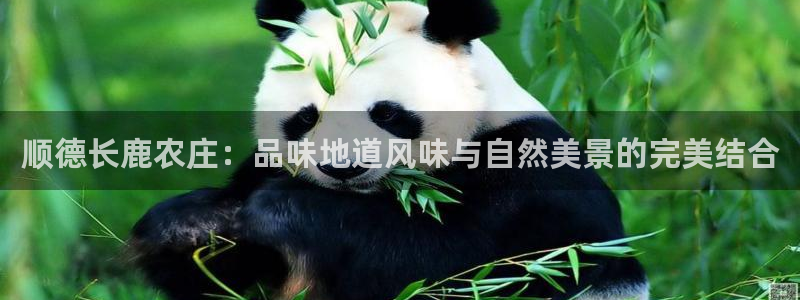 泉州摩根会娱乐保安