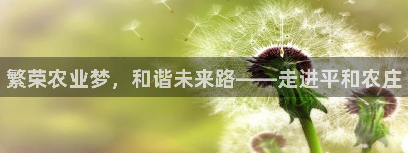 临平摩根国际娱乐会所