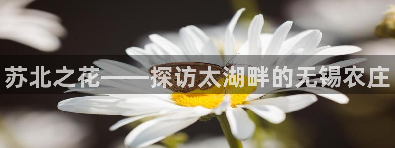 摩根娱乐¤股s东50015