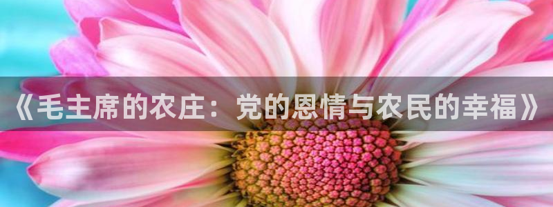 摩根娱乐黑台