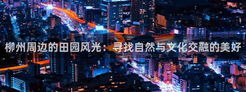 摩根娱乐宝怎么赚钱